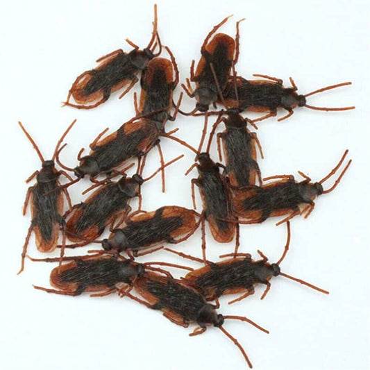 10 Fake Plastic Cockroaches 6.5CM Halloween Decorations - NextParty