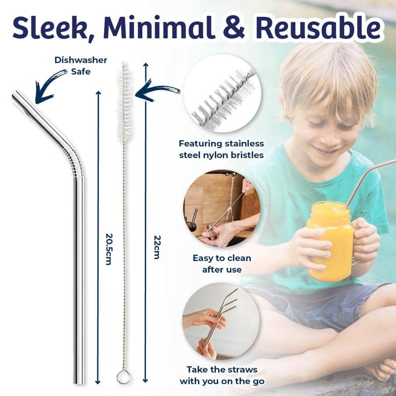 4 Stainless Steel Straws & 1 Cleaning Brush Set - NextParty