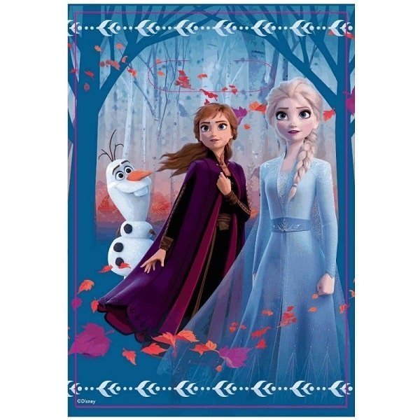 Frozen 2 Plastic Party Bags 8pk - NextParty