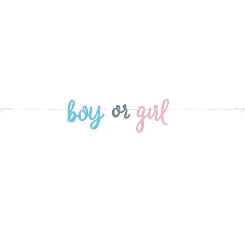 Gender Reveal Jointed Banner 2.13M Boy Or Girl - NextParty