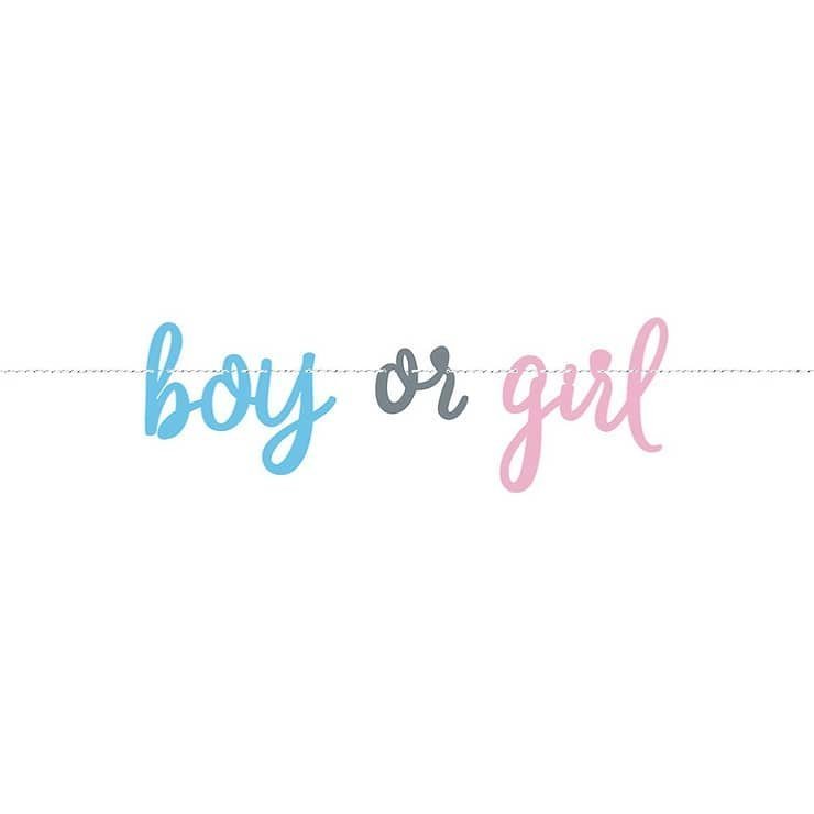 Gender Reveal Jointed Banner 2.13M Boy Or Girl - NextParty