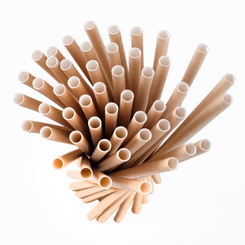 Paper Straws 50pk 20cm x 6mm Eco Friendly - NextParty