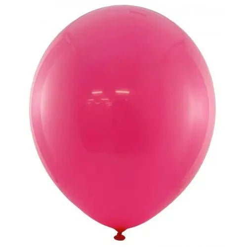 Standard Fuchsia Hot Pink Latex Balloons 30cm (12") 25pk - NextParty