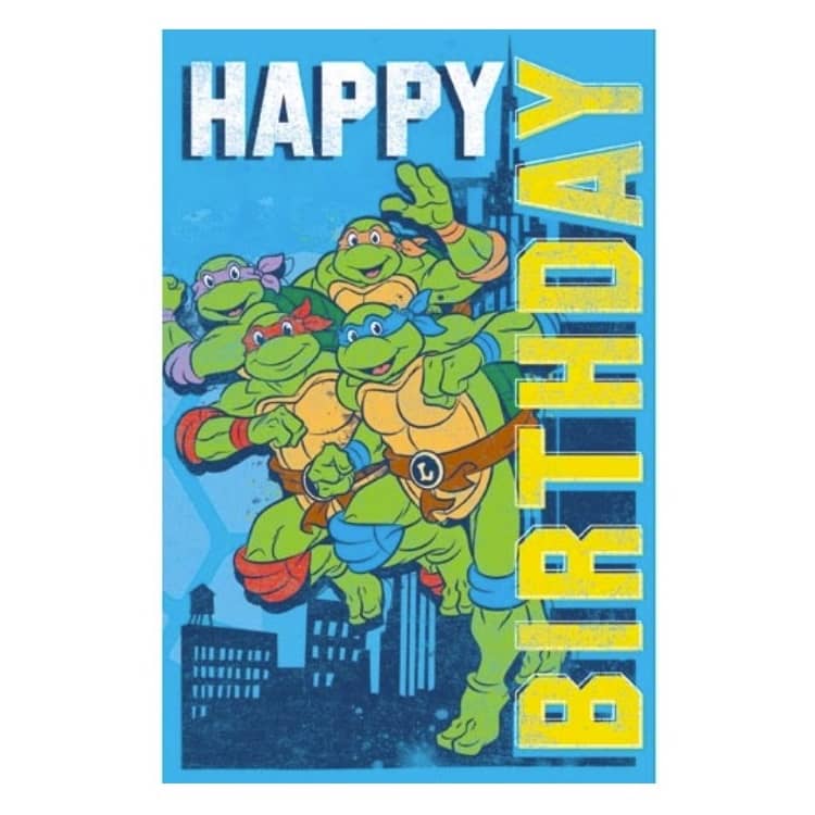 Teenage Mutant Ninja Turtles Birthday Card 11.5cm x 18cm With Blue Envelope - NextParty