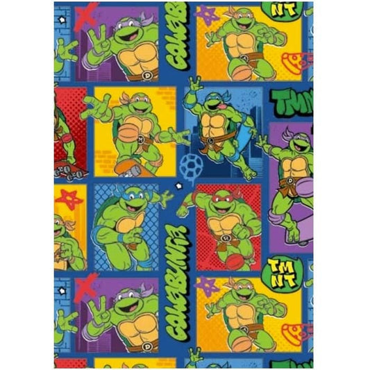 Teenage Mutant Ninja Turtles Gift Wrap 1 Sheet Folded TMNT - NextParty